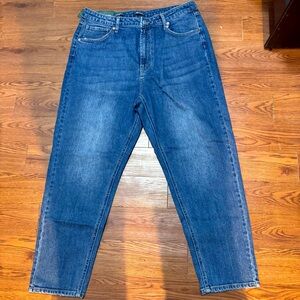 NWT blue mom jeans by wild fable size 16